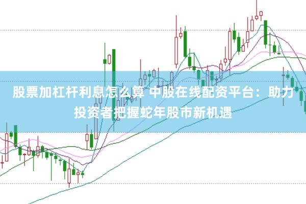 股票加杠杆利息怎么算 中股在线配资平台：助力投资者把握蛇年股市新机遇