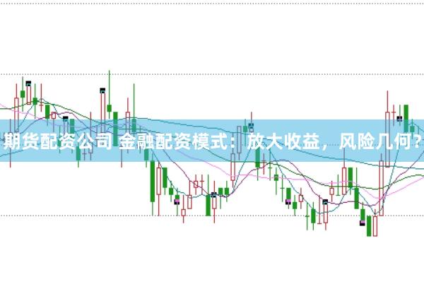 期货配资公司 金融配资模式：放大收益，风险几何？
