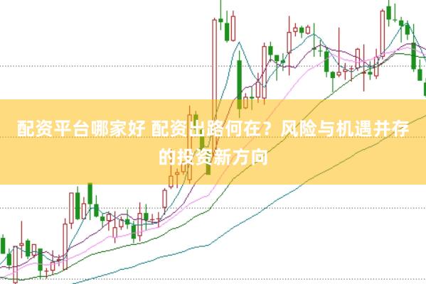 配资平台哪家好 配资出路何在？风险与机遇并存的投资新方向