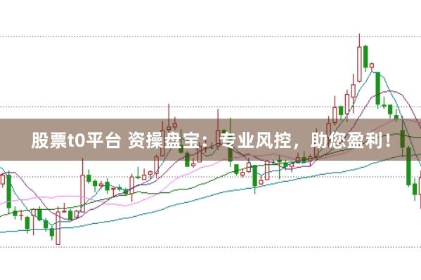 股票t0平台 资操盘宝：专业风控，助您盈利！
