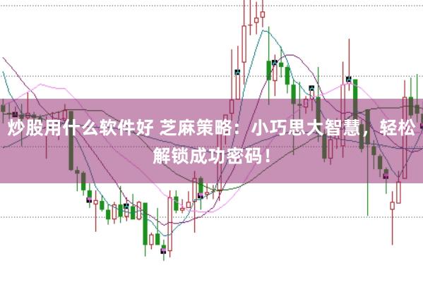 炒股用什么软件好 芝麻策略：小巧思大智慧，轻松解锁成功密码！