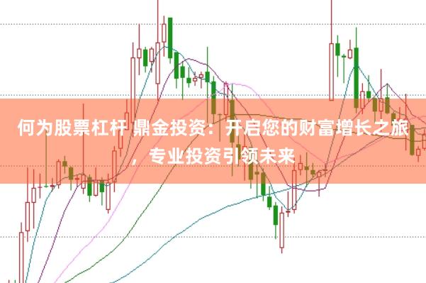 何为股票杠杆 鼎金投资：开启您的财富增长之旅，专业投资引领未来