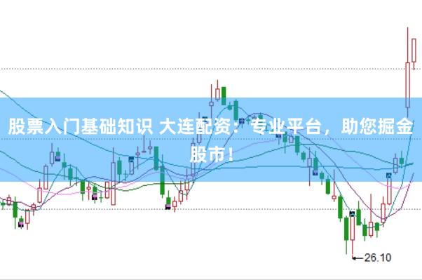 股票入门基础知识 大连配资：专业平台，助您掘金股市！