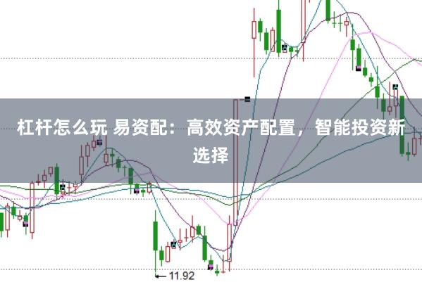 杠杆怎么玩 易资配：高效资产配置，智能投资新选择