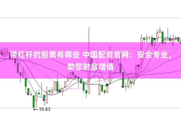 带杠杆的股票有哪些 中国配资官网：安全专业，助您财富增值