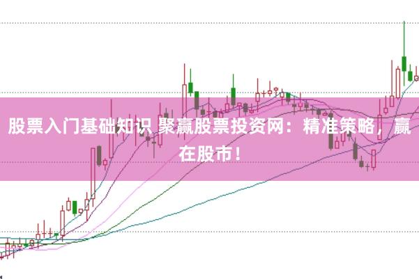 股票入门基础知识 聚赢股票投资网:精准策略,赢在股市!