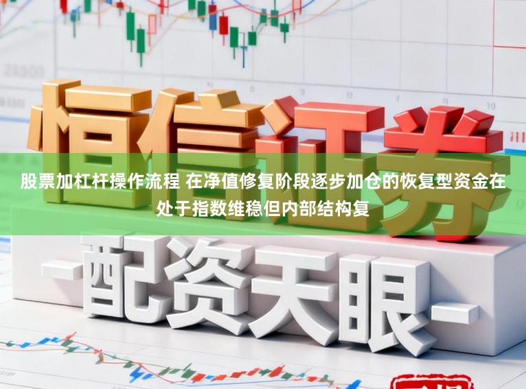 股票加杠杆操作流程 在净值修复阶段逐步加仓的恢复型资金在处于指数维稳但内部结构复